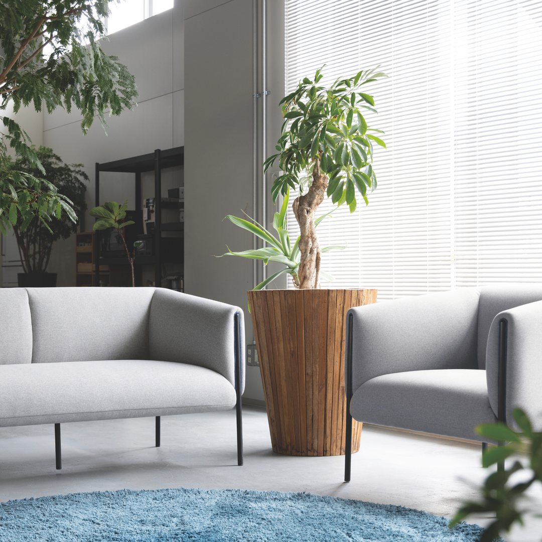 MELTONE 2P SOFA