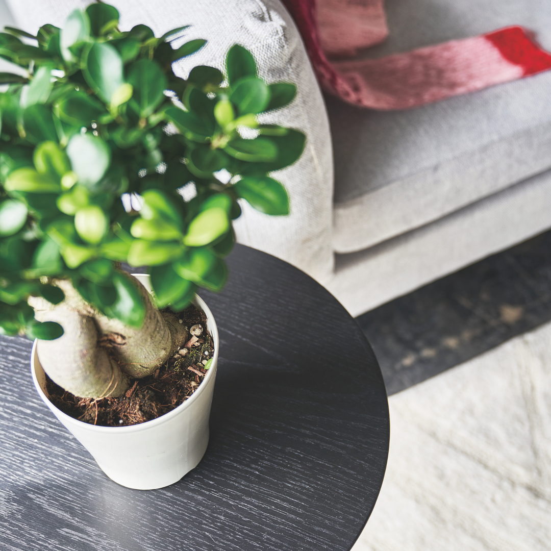 Pinleg Round Table