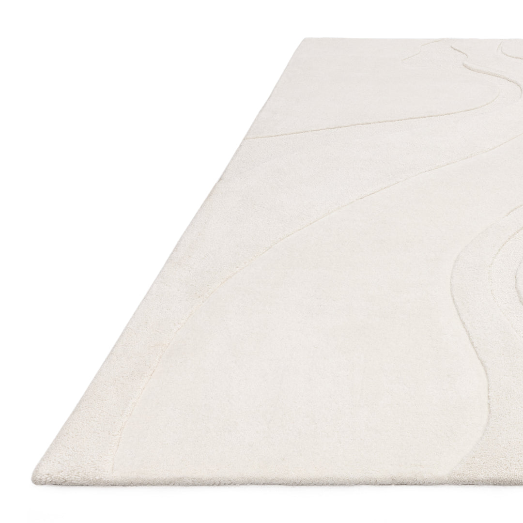 MADURA ラグ　Paris購入 Amazon.com: Mark&Day Animal Print Rugs, 4x6 Chambery Modern