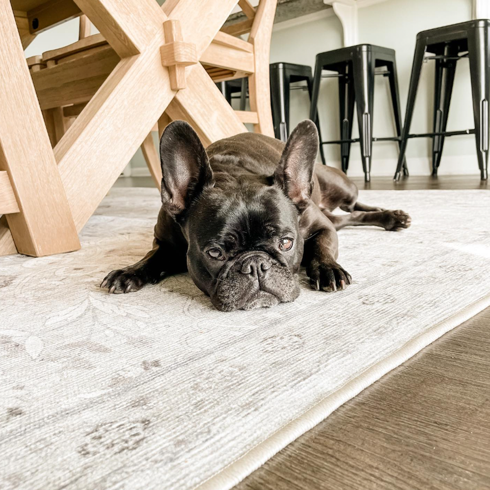 キッズ＆ペットと暮らせるイージーラグ – RUGHAUS